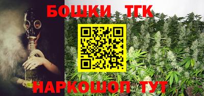 твердый Краснознаменск