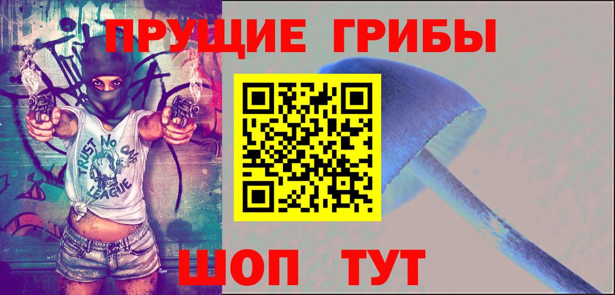 Кольчугино  цены наркотик  Вход с VPN  Псилоцибиновые грибы MAGIC MUSHROOMS 